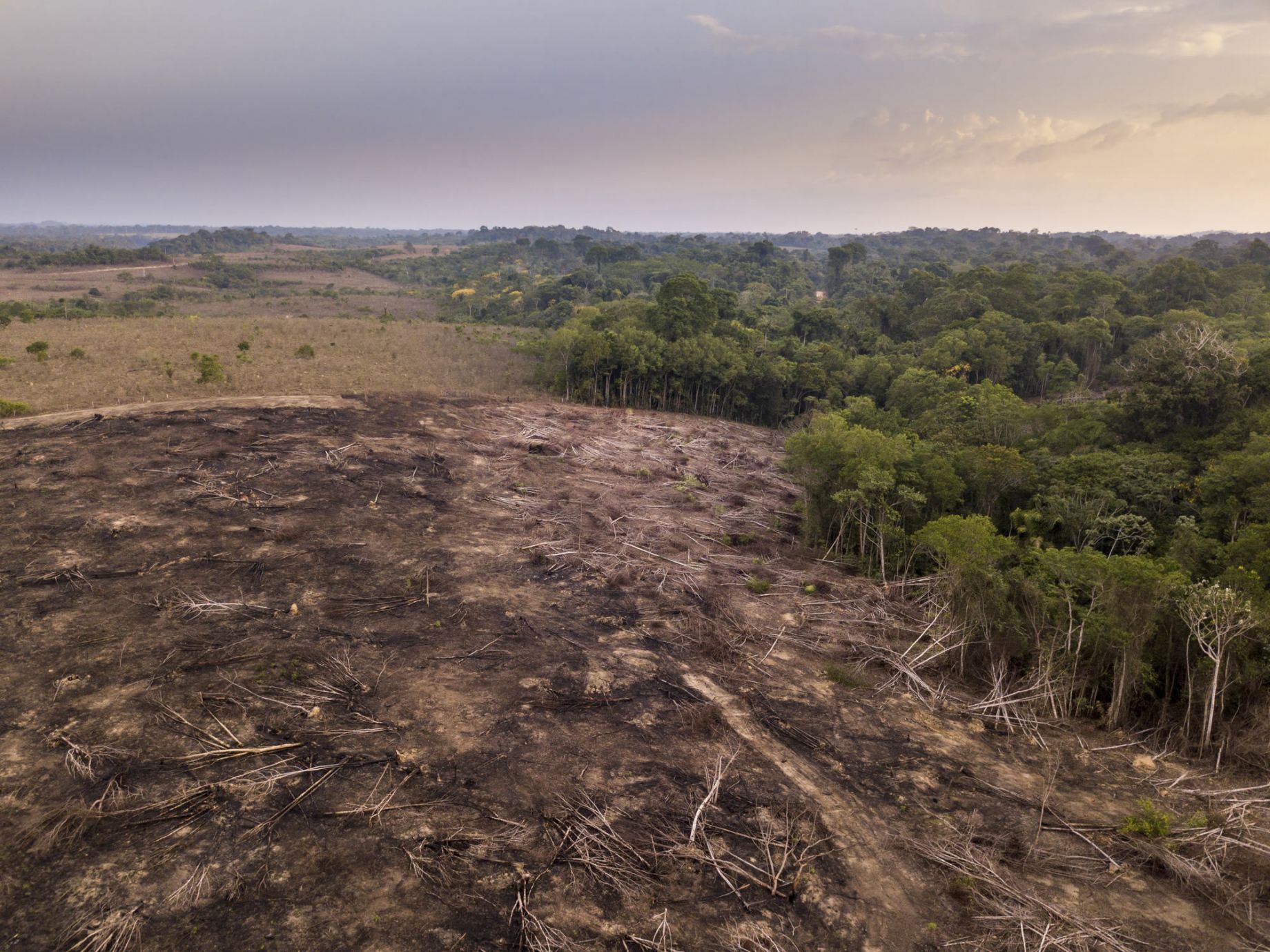 land clearing-Springfield, Tennessee-excavation