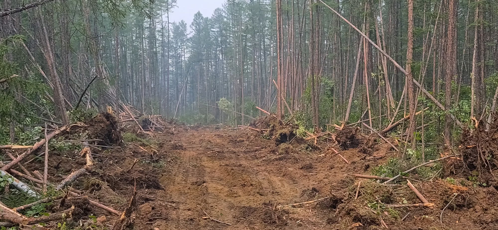 Excavation Company Clarksville, TN