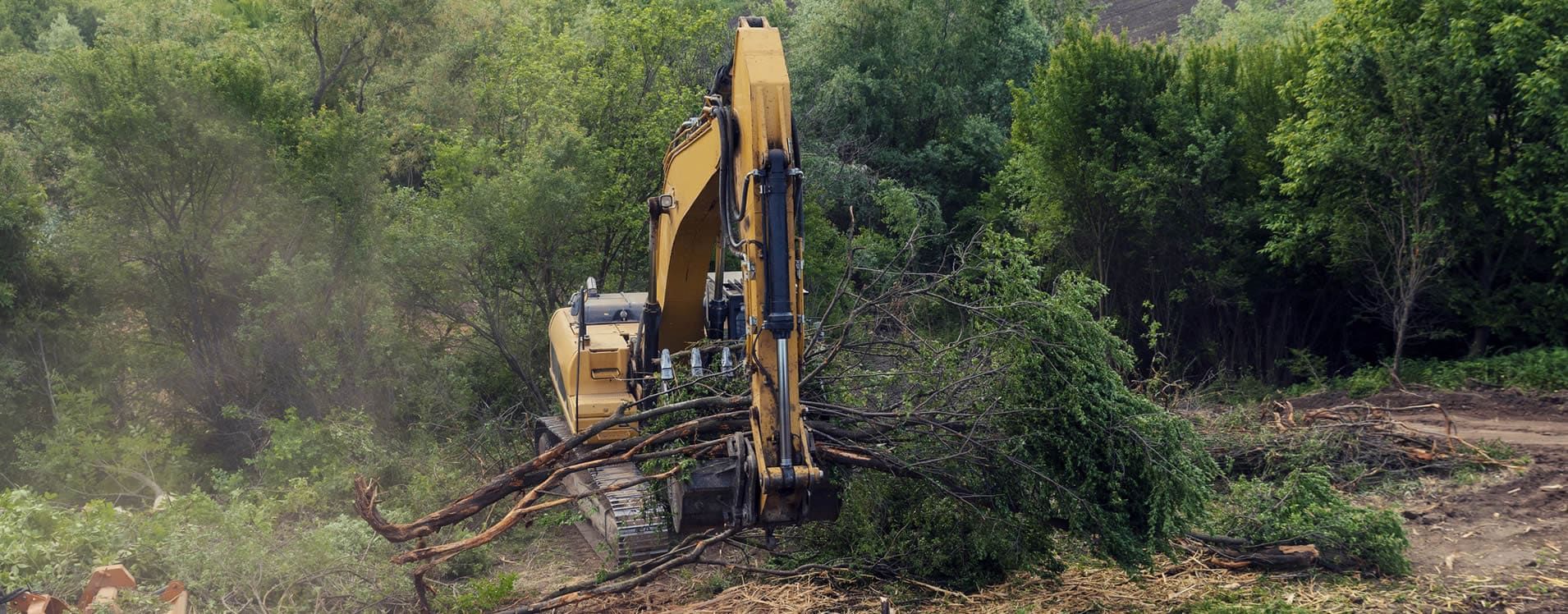 Clarksville TN Ground Clearing